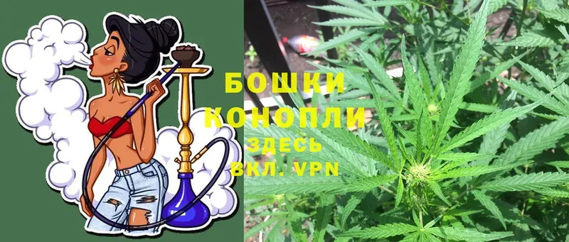 Шишки марихуана White Widow  цена наркотик  Новосиль 